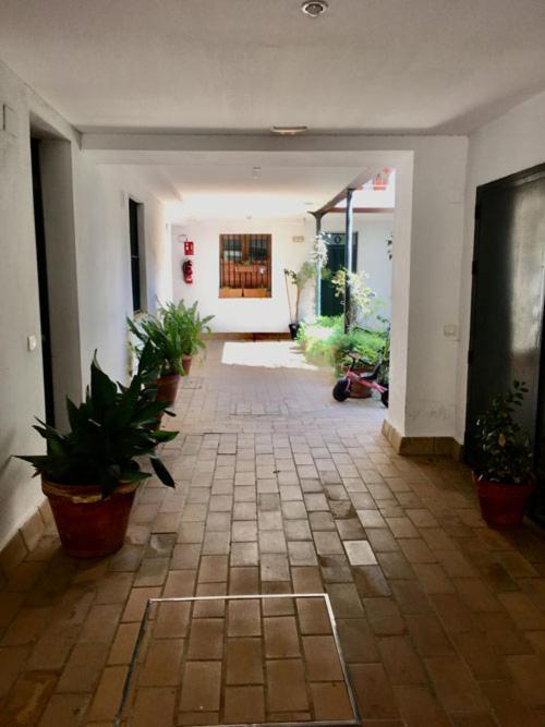 Appartement La Terraza Azul